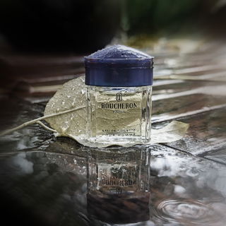 ༺ 𖢲 der Oktober dieses Jahr weniger golden 𖢲✥𖢲 dafür verziert mit Wasserperlen 𖢲✥𖢲 kommt gut ins Wochenende 𖢲✥𖢲 und ganz lieben Dank für Euren Besuch und die lieben Kommentare die mich sehr freuen 𖢲 ༻