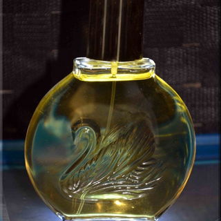 Vanderbilt (Eau de Toilette) by Gloria Vanderbilt