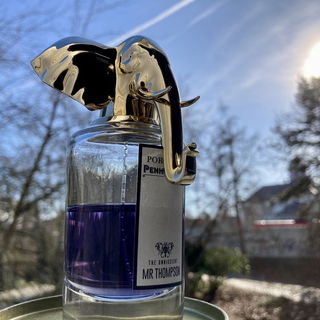 The Omniscient Mister Thompson - Penhaligon's