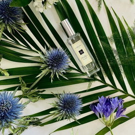 Earl Grey & Cucumber - Jo Malone