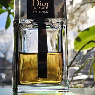 Dior Homme Intense (2011)