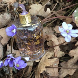 Eau du Désir - Lolita Lempicka