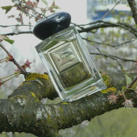 Armani Privé - Jasmin Kusamono - Giorgio Armani