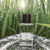 Diesmal durfte Vintage Green ins Haferfeld ;) (von Goasbaeuerin)