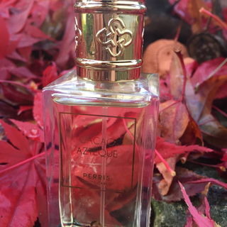 Cacao Aztèque (Extrait de Parfum) von Perris Monte Carlo