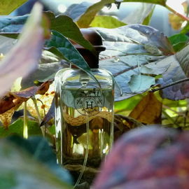Eau d'Hermès - Hermès