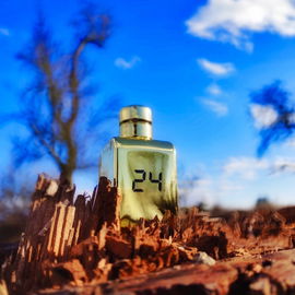 24 Gold - ScentStory