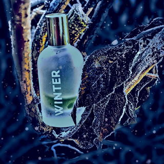 Winter - Dasein