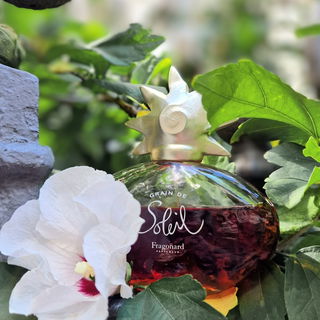 Grain de Soleil von Fragonard