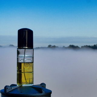 Shaghaf Oud Ahmar (Eau de Parfum) - Swiss Arabian
