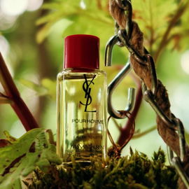 Pour Homme (1971) (Eau de Toilette) - Yves Saint Laurent