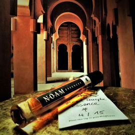 What the Doctor left in the temple