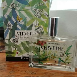Embrace - Periwinkle and Iris (Eau de Toilette) - Vera Wang
