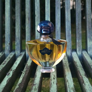 Shalimar Millésime Iris von Guerlain