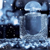 ....... Winternacht ...... (von IrisNobile)