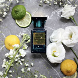 Black Orchid (Eau de Parfum) - Tom Ford