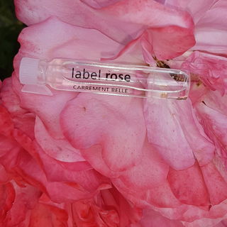 ...Rosenrotrosé....