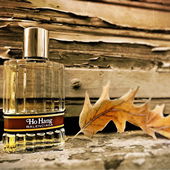 ....... Vergangenes ................ (von IrisNobile)