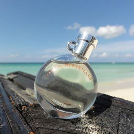 Elixir des Merveilles - Hermès