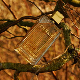 Cinéma (Eau de Parfum) - Yves Saint Laurent