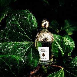 Terracotta Le Parfum - Guerlain