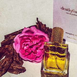 deadofnight (Eau de Parfum) by Strangelove NYC