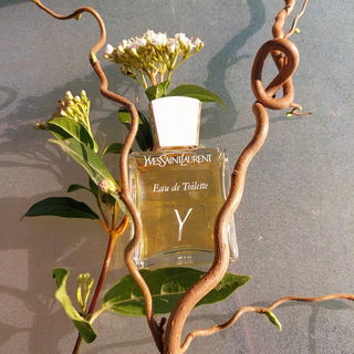 🌿YyY🌿