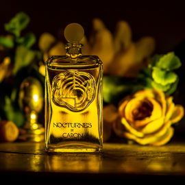 Sunrise on the Red Sand Dunes (Eau de Parfum) - Zara