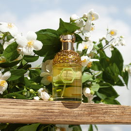Aqua Allegoria Tutti Kiwi - Guerlain