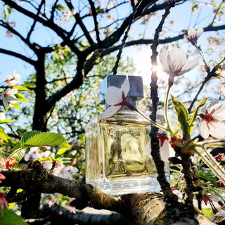 APOM Homme by Maison Francis Kurkdjian