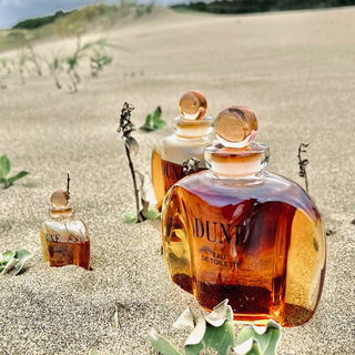 Dune (Eau de Toilette) by Dior