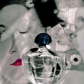 Shalimar Ode à la Vanille - Guerlain