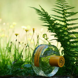 Eau Sauvage (Eau de Toilette) - Dior