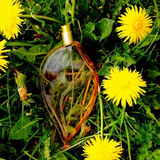 Summer by Kenzo - Kenzo