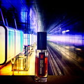 DEV two in der U Bahn HafenCity Universität (von Kylesa)