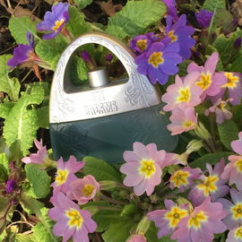 Sui Dreams - Anna Sui
