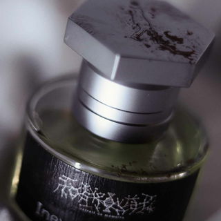 Inexcusable Evil - Toskovat'