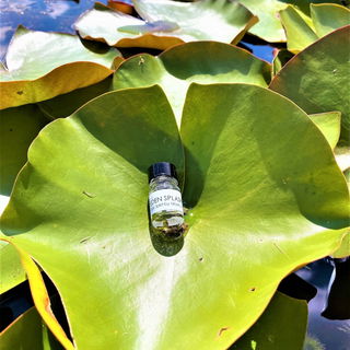 Danke für eure Aufmerksamkeit und die netten Worte, ihr Lieben!