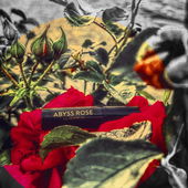 Der Abgrund der Rose - Vielen Dank für eure Begeisterung 🌹☺️ Freue mich sehr! (by CharlAmbre)