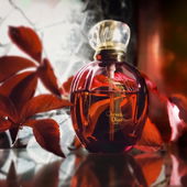 ..... Herbstfeuer .... (von IrisNobile)