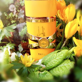 Yara Tous / يارا (Eau de Parfum) - Lattafa / لطافة