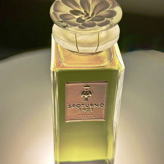 Spoturno 1921 Édition Limitée von Spoturno