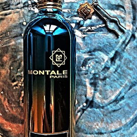 Day Dreams - Montale