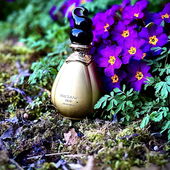 …📷🌍 Thank you. Danke schön. Merci beaucoup. Muchas gracias. Dōmo arigatō gozaimasu 💐… (by Kokusai)