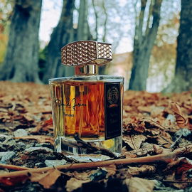 2. Nawab of Oudh Intensivo - Ormonde Jayne