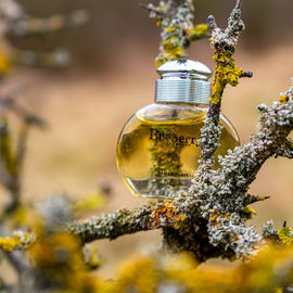 Burberry for Women - Burberry