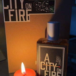 A City on Fire von Imaginary Authors