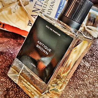Antique Brown by Zara