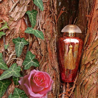 Rosa Moceniga - The Merchant Of Venice