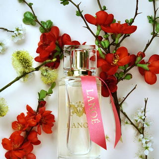 Lovely by Lanoé